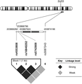 Pairwise linkage disequilibrium (LD) of the four single nucleotide polymorphisms (SNP) associated with periodontitis in the cytotoxic T-lymphocyte-associated antigen 4 (CTLA4) gene (rs4553808, rs16840252, rs5742909, and rs3087243). The enlarged region at middle of the figure highlighted the relative location of the four SNPs along chromosome 2 at 2q33. The numbers above the bar are the corresponding chromosome positions. rs4553808, rs16840252, rs5742909 located in a promoter region upstream of, whereas rs3087243 is located downstream of CTLA4. Diamonds in the haplotype blocks represent pairwise LD (r2) between all SNPs assessed; as shown in the figure key, the darker the diamond, the stronger the LD between the SNPs