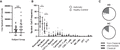 Frequency of cells from sputum. Induced sputum samples from asthmatic (AS, n = 18) and healthy control (HC, n = 9) subjects were labeled fresh on the day of collection with metal-conjugated antibodies and analyzed by mass cytometry. (A) Live cell yields median ± interquartile range, Mann-Whitney test, NS (P-value = 0.1633). (B) Frequency of cell subsets, individual samples with median ± interquartile range; Wilcoxon’s signed rank test, *P < 0.01. (C) Relative frequency of macrophage subsets. Data shown are median frequency of all samples; Wilcoxon’s signed rank test, *P < 0.01