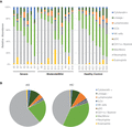 Frequencies of sputum cell subpopulations in asthmatics (AS) and healthy controls (HCs). Induced sputum samples from asthmatic AS (n = 18) and HC (n = 9) subjects were labeled fresh on the day of collection with metal-conjugated antibodies and analyzed by mass cytometry. Frequency of immune cell subsets among individuals displayed using Boolean analysis (A) and median values in each population by group (B)