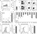ALA maintains a low ROS level and inhibits apoptosis of hematopoietic stem/progenitor cells. (A) Representative flow cytometry results of ROS levels in hematopoietic stem/progenitor cells from normal or ALA-treated cocultures on day 14. (B) Mean fluorescence intensity (MFI) of ROS (DCFH-DA) was calculated. (C) Representative flow cytometry results of apoptosis of hematopoietic stem/progenitor cells from normal and ALA-treated cocultures on day 14. (D) The percentages of live cells, early apoptosis (E-apoptosis), late apoptosis (L-apoptosis), and cell death were calculated. (E) RT-PCR indicated the mRNA encoding relative expression levels of stem cell maintenance or cell apoptosis related genes in hematopoietic stem/progenitor cells, the data were presented as –△Ct (Ct B2M – Ct Genes) value. (F and G) Intracellular staining assay of was performed to analysis the protein expression level of HIF1A (F) and P53 (G) in CD34+CD43+CD45+/low cells at day14 of coculture. Data in the bar graphs in (B) and (D–F) are presented as the mean ± sd. An unpaired Student’s t-test (2-tailed) was performed. N = 3 replicates; *P < 0.05, **P < 0.01, ***P < 0.001, ****P < 0.0001; ns, not significant