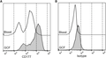 Right-shifted histograms of GCF samples stained with anti-CD177- and isotype antibody. Neutrophils from peripheral blood and GCF from periodontitis patients (n = 13) were stained with anti-CD177 and isotype antibody and analysed by flow-cytometry. (A) Histograms of neutrophil CD177 expression in blood and GCF (from one patient out of 13). (B) Histograms of isotype staining in blood and GCF from the same patient.