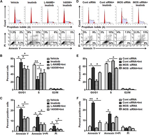 iNOS expression modulates antiproliferative and proapoptotic effect of imatinib in K562 cells. (A–C) K562 cells were pretreated with vehicle, L-NAME (1 mM), or 1400W (100 μM) for 4 h followed by imatinib (imt, 2 μM) treatment for 48 h and then FACS analyzed. Representative flow cytometric histogram and dot plot (A), and bar diagram shows cell cycle (G0/G1, S and G2/M) (B) and apoptosis (Annexin V/PI) (C) in vehicle, L-NAME, or 1400 W pretreated followed by imatinib treated K562 cells. (D–F) K562 cells were transfected with control/scramble or iNOS siRNA and 24 h post transfection cells were treated with imatinib (imt, 2 μM), and 48 h post imatinib treatment cell proliferation and apoptosis was analyzed. Representative flow cytometric histogram and dot plot (D), and quantification summary demonstrate distribution of cells in different phases (G0/G1, S, and G2/M) of cell cycle (E) and apoptosis (F) in iNOS siRNA transfected K562 cells. Data expressed as mean ± sem of 4–8 independent experiments. *P < 0.05 and **P < 0.01
