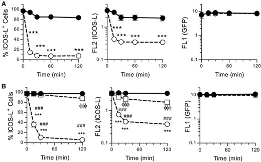 ICOS-dependent modulation of cell surface ICOS-L is a fast process that is impaired by fixation of ICOS+ cells. (A). M12 ICOS-L GFP+ cells were incubated at 37°C for different times alone (closed symbols) or with ICOS+ D10 cells (open symbols), then stained in the cold for ICOS-L and CD4. M12 ICOS-L GFP+ cells (GFP+ CD4– cells), were gated and analyzed for ICOS-L and GFP fluorescence. Data shown as per cent ICOS-L+ cells (left panel), or mean ICOS-L fluorescence (middle panel), or mean GFP fluorescence (right panel). Asterisks indicate significant differences between conditions as determined by two-way ANOVA (***: p < 0.001). (B). M12 ICOS-L GFP+ cells were incubated at 37°C for different times alone (closed circles, solid line) or with ICOS+ D10 live cells (open circles, dashed lines), or with fixed ICOS+ D10 cells (squares, dashed line), then fluorescence analyzed and shown as in A). Symbols indicate significant differences (p < 0.001) in fluorescence of ICOS-L GFP+ cells in the presence or absence of fixed ICOS+ cells (ϕϕϕ), or between ICOS-L GFP+ cells plus or minus ICOS+ live cells (***), or between ICOS-L GFP+ cells plus live or fixed ICOS+ cells (###), as determined by two-way ANOVA