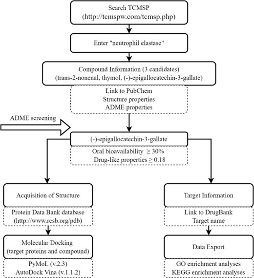 Schematic flowchart of database-related operations. TCMSP, Traditional Chinese Medicine Systems Pharmacology; ADME, absorption, distribution, metabolism, and excretion; GO, Gene Ontology; KEGG, Kyoto Encyclopedia of Genes and Genomes