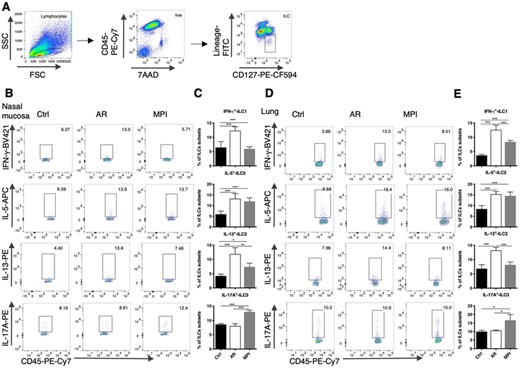 Altered ILCs in the nasal mucosa and lungs in model mice. (A) The gating strategy for the identification of ILCs. ILCs was identified as 7AAD–CD45+CD127+Lineage–. (B) Dot blots of ILC subsets in the nasal mucosa of Control, AR, and MPI model mice. (C) Frequencies of ILC subsets in the nasal mucosa of Control, AR, and MPI model mice. (D) Dot blots of ILC subsets in the lungs of Control, AR, and MPI model mice. (E) Frequencies of ILC subsets in the lungs of Control, AR, and MPI model mice. n = 6, data represent 2 independent experiments, mean ± sd, *p < 0.05, **p < 0.01, ***p < 0.001