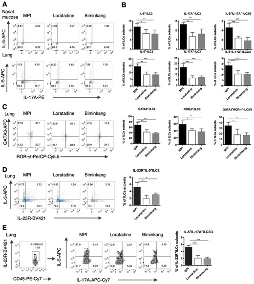 Biminkang inhibited the conversion of ILC3 from ILC2 in MPI model mice. (A) Dot blots of IL-5+ILC2, IL-17A+ILC3, and IL-5+IL-17A+ILC3 subsets in the nasal mucosa and lungs after treatment. (B) Frequencies of IL-5+ILC2, IL-17A+ILC3, and IL-5+IL-17A+ILC3 subsets in the nasal mucosa and lungs after treatment. (C) Dot blots and frequencies of GATA3+ILC2, RORγt+ILC3, and GATA3+RORγt+ILC2/3 in the lungs. (D) Dot blots and frequencies of IL-23R+IL-5+ILC2 subsets in the lungs. (E) Dot blots and frequencies of IL-5+IL-17A+ILC3 subsets after gated by IL-23R+ILC subsets in the lungs. n = 6, data represent 2 independent experiments, mean ± sd, *p < 0.05, **p < 0.01, ***p < 0.001