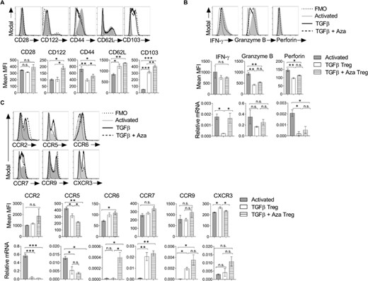 CD8+Foxp3+ Tregs show effector molecules and chemokine receptors. CD8+CD25– naive T cells (5×104 cells/well) from Foxp3-GFP transgenic mice were differentiated into the Treg lineage in the presence of TGF-β with or without Aza. (A) Cells were harvested on day 5 and analyzed for the expression of activation receptors. The histogram plots show the expression of molecules on CD8+CD25+ T cells under activated, TGF-β or TGF-β + Aza conditions (upper panel). The bar graph is the mean MFI (lower panel). n = 3 experiments. (B) The histogram plots show the expression of intracellular effector molecules (upper panel) and mean MFI shown as a bar graph (middle panel). n = 3 experiments. CD8+CD25+ cells from the above cultures were isolated using flow sorting, and mRNA expression of IFN-γ, granzyme B, and perforin were analyzed using qRT-PCR. The data represent 1 of the 2 independent experiments (lower panel). (C) The histogram plots show the expression of chemokine receptors (upper panel), and the mean MFI is shown as a bar graph (middle panel). n = 3 experiments. mRNA expression was analyzed on flow-sorted CD8+CD25+ cells using qRT-PCR (lower panel). The data shown are representative of 2 independent experiments. The error bar for mean MFI represents ± sem. The error bar for relative mRNA represents ± sd. Statistics were calculated using one-way ANOVA with Tukey's correction. *p < 0.05; **p < 0.01; ***p < 0.001; n.s. not significant. FMO = Fluorescent minus one staining control