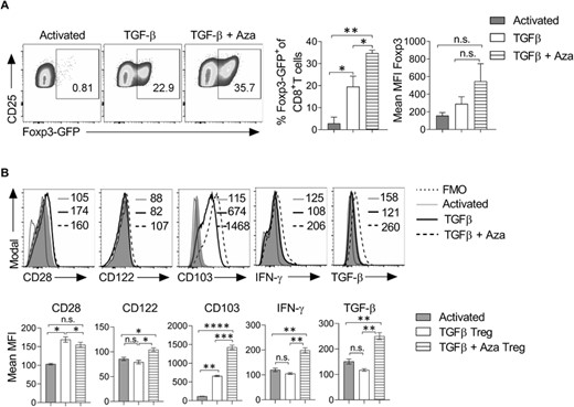 TGF-β + Aza induces the differentiation of OVA antigen-specific CD8+Foxp3+ Tregs. OT-I–Foxp3-GFP double transgenic mice were given a subcutaneous injection of OVA257–264 peptide (50 μg) emulsified in complete Freund's adjuvant (CFA). On day 7, draining lymph nodes were harvested, and the single-cell suspension was prepared. Total lymph node cells cultured with OVA257–264 peptide (2 μg/ml) and IL-2 (20 ng/ml). TGF-β (10 ng/ml), and Aza (0.5 μM) were added to the culture for differentiation into Tregs. (A) On day 7, cells were analyzed for the expression of Foxp3-GFP. The representative flow cytometry plots show the percentage of CD25+Foxp3-GFP+ cells after gating on CD8+ cells. Error bar represents ± sem. (B) The expression of CD28, CD122, CD103, IFN-γ, and TGF-β was analyzed in the differentiated cells. Data shown are gated on CD8+ CD25+ cells. The numbers in the histograms represent MFI. The data shown are representative of 2 independent experiments. The error bar for mean MFI represents ± sem. Statistics were calculated using one-way ANOVA with Tukey's correction. *p < 0.05; **p < 0.01; ***p < 0.001; n.s. not significant. FMO = fluorescent minus one staining control