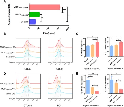 Effect of MUC1 epitopes on T-cell activation and proliferation. Dendritic cells loaded with various MUC1 epitopes are cocultured with PBLs at a ratio of 1:10 in the presence of IL-2 and IL-7, and then PBLs are restimulated with freshly peptide-pulsed DCs every 7 days. Following twice stimulations and 14-day incubation to generate MUC1 epitope-specific CTLs. (A) ELISA measures IFN-γ concentration in the supernatant 3 days after the second coculture; (B)–(E) expression of T-cell activation markers and exhaustion markers in MUC1 epitope-specific CTLs stained with specific antibodies against FITC-CD25, PE-CD69, PE-CTLA-4, and APC-PD-1; (B) representative flow cytometric plot of CD25 and CD69 expression in CTLs; (C) statistical comparison of CD25 and CD69 expression in CTLs. The horizontal coordinate indicates CTLs groups, and the vertical coordinate indicates the expression of activation markers; (D) representative flow cytometric plot of CTLA-4 and PD-1 expression in CTLs; (E) statistical comparison of CTLA-4 and PD-1 expression in CTLs. The horizontal coordinate indicates CTLs groups, and the vertical coordinate indicates the expression of exhaustion markers. B and D are representative of 3 independent experiments. In A, C, and E, data are expressed as mean ± s.d. from 3 independent experiments. *p < 0.05, **p < 0.01, ***p < 0.001.