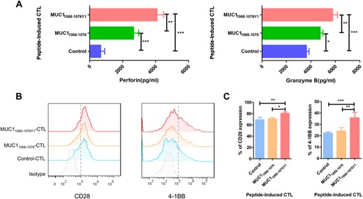 MUC1 epitope-specific CTLs exhibit diverse functions. (A) MUC1 epitope-specific CTLs (effector cells) are cocultured with PANC-1 cells (target cells) at an E/T ratio of 10:1, and the perforin/granzyme B secretion are measured in the coculture supernatant using ELISA; (B) and (C) activated CTLs are stained with specific antibodies against PE-CD28 and PE-4-1BB, and the expression of costimulatory molecules is detected in CTLs; (B) representative flow cytometric plots of CD28 and 4-1BB expression in CTLs; (C) statistical comparison of CD28 and 4-1BB expression in CTLs. The horizontal coordinate indicates CTLs groups, and the vertical coordinate indicates the expression of costimulatory molecules. B is representative of 3 independent experiments. In A and C, data are expressed as mean ± s.d. from 3 independent experiments. *p < 0.05, **p < 0.01, ***p < 0.001.