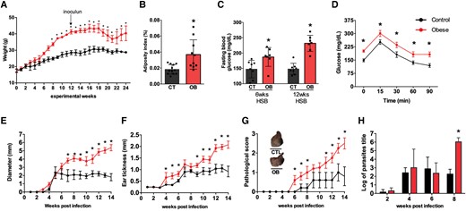 Mice with diet-induced obesity show more severe lesions and higher parasite load when infected with L. major. C57BL/6 mice were fed a standard AIN93-G diet or a high-sugar and high-fat (HSB) diet for 12 wk before being infected with 2 × 105 L. major metacyclic promastigotes in the ear. A) Mean body weight of mice over 25 wk of the experiment; B) Adiposity index expressed as the sum of epididymal, inguinal, and mesenteric AT weights divided by body weight at the end of the experiment; C) Fasting blood glucose levels; D) Oral GTT performed after 12 wk of diet consumption. Lesion measurements: E) Diameter, F) Thickness, and G) Pathological score (0, without ulceration; 1, with ulceration; 2, mild tissue damage; and 3, severe tissue damage). H) Parasite load in the ears of mice 2 d; 2, 4, and 8 wk after infection. Results represent the mean of 2 independent experiments (n = 3–5/each experiment), and bars indicate the mean and SD. Statistical significance was determined by Two-Way ANOVA between the CT (AIN93-G) and obese (HSB) groups, *P < 0.05.