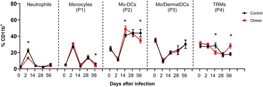 Analysis of cell population frequency kinetics in the ear derm after L. major infection. C57BL/6 mice were fed for 12 wk with AIN93-G or HSB diet and infected with 2 × 105 L. major. Cell frequency was evaluated 2, 14, 28, and 56 d after infection. Live populations of monocytes (P1), Mo-DCs (P2), Mo/DermalDCs (P3), and TRMs (P4) were evaluated in the CD11b+ gate. Populations: Ly6G+ (Neutrophils), Ly6ChiCD206− (P1), Ly6CintCD206− (P2), Ly6CintCD206− (P3), and Ly6CintCD206+ (P4), data are representative from 2 to 3 independent experiments with n = 3–5 mice/experiment. Data represented by mean ± SEM; *P < 0.05 identified by Student's t-test comparing the CT and obese groups at different times of infection.