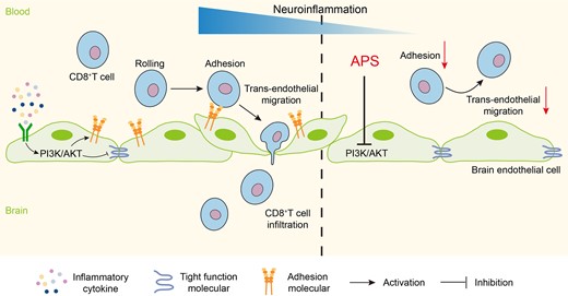 Graphical Abstract