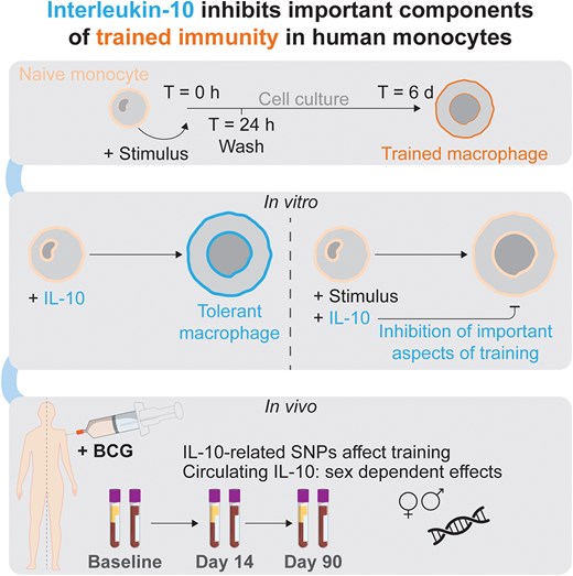 Graphical Abstract