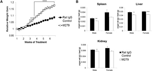 Effect of anti-CSF1R antibody on body and organ weights. Mice were injected with 200 μg rat IgG control or M279, 3× weekly for 6 weeks. Graphs show the mean ± sem. Significance is indicated by *P < 0.05, **P < 0.01, ***P < 0.001, and ****P < 0.0001, using an unpaired t-test; n = 29 mice/group for body weight (bwt), and n = 8 mice/group for organ weights. The groups were assigned to have similar average body weights at the outset. (A) Average relative weight gain (normalized to Day 1) taken before each injection. (B) average spleen:body weight ratio, liver:body weight ratio, and kidney:body weight ratio at the end of treatment. Note that absolute body weight differences between the two groups are <4%, so the reduced organs weights also reflect absolute reductions.
