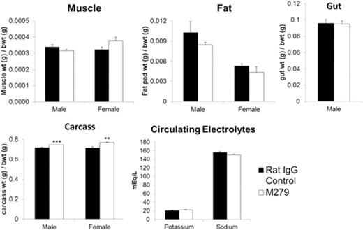 Effect of anti-CSF1R antibody on tissues and circulating electrolytes. Mice were injected with 200 μg rat IgG control or M279, 3× weekly for 6 weeks. Graphs show the mean ± sem of the tissues indicated, the total carcass weight after removal of the viscera, or the serum electrolytes. Significance is indicated by **P < 0.01, and ***P < 0.001, using an unpaired t-test; n = 6–8 mice/group.