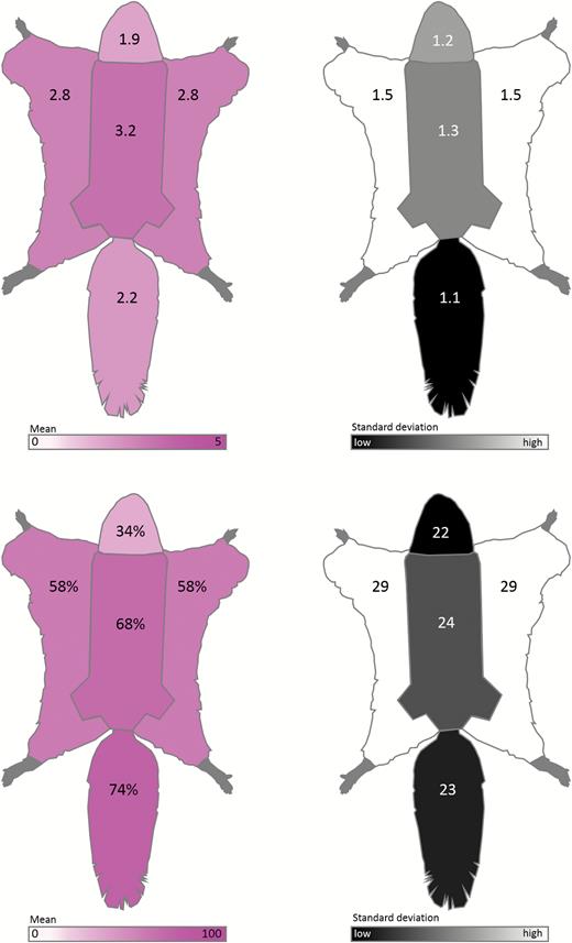 Schematic diagrams summarizing qualitative ventral body fluorescence scores and the percent cover of fluorescence of New World flying squirrel museum specimens (Glaucomys spp.; n = 109). Top left: average fluorescence scores of each ventral region (body, chin and neck, patagia, and tail) from 0 (no fluorescence) to 5 (vibrant fluorescence). Top right: SDs of fluorescence scores for each ventral body region. Bottom left: average percent cover of fluorescence for each ventral region (body, chin and neck, patagia, and tail). Bottom right: SDs of percent cover of fluorescence for each ventral body region.