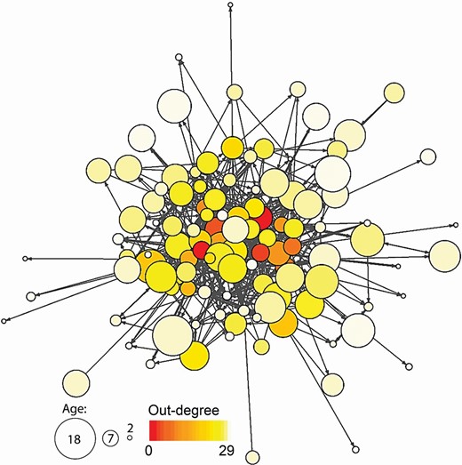 Network of agonistic interactions among bison males. Each node represents a male, node size corresponds to age, arrow direction indicates the direction of the agonistic action from aggressor (winner) to recipient (loser), and line thickness indicates edge weight—number of interactions. Color corresponds to a male’s out-degree—the number of unique males it won over.