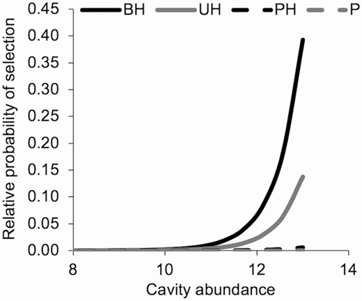 —Relative probability of selection for plot cavity abundance within stand vegetation types by tricolored bats (Perimyotis subflavus) in the Upper Coastal Plain of South Carolina during winter, November – March 2017 – 2019. Stand vegetation type from left to right: bottomland hardwood forest (BH), upland hardwood forest (UH), mixed mesophytic pine-hardwood forest (PH), and pine forest (P). Relative probability of selecting resource X is a function of used and available attributes within our choice sets.