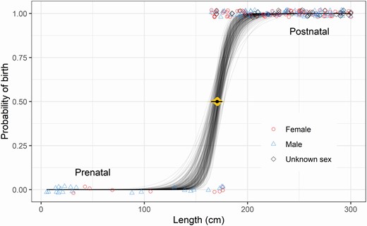 —The lengths of pre- and postnatal long-finned pilot whales (Globicephala melas edwardii; points) stranded on the New Zealand coast (1948–2017), with a posterior sample of 200 logistic curves for the probability of birth as a function of length (thin grey lines) using a model that disregarded sex, fitted to n = 202 cases. A small amount of transparency and vertical “jitter” was added to help visualize overlapping points. The central black point and thin horizontal line show the mean and 95% highest posterior density interval for the estimated median length-at-birth (i.e., the length at which the probability of birth is 50%), with gradient plot in yellow (Kay 2021).