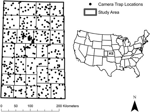 Study area in western Kansas, United States (KS; 71,600 km2) sampled by camera-trap sites (2018 = 375, 2019 = 361, 2020 = 360) for carnivore community richness and lagomorph: Black-tailed Jackrabbit (Lepus californicus) and Eastern Cottontail (Sylvilagus floridanus) abundances over 3 years (2018–2020). Surrounding states included Nebraska (NE), Missouri (MO), Oklahoma (OK), and Colorado (CO).