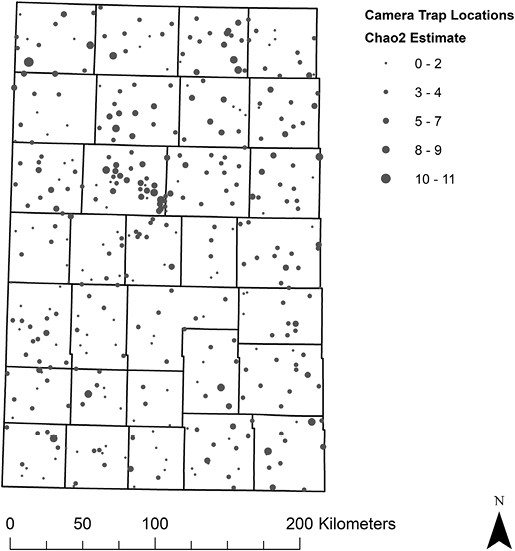 Distribution of Chao2 estimates throughout our study area in western Kansas, United States (KS; 71,600 km2) where we sampled camera-trap sites (2018 = 375, 2019 = 361, 2020 = 360) for carnivore community richness over 3 years (2018–2020). The Chao2 method is used for evaluating species richness, while accounting for rare species (Colwell and Coddington 1994).