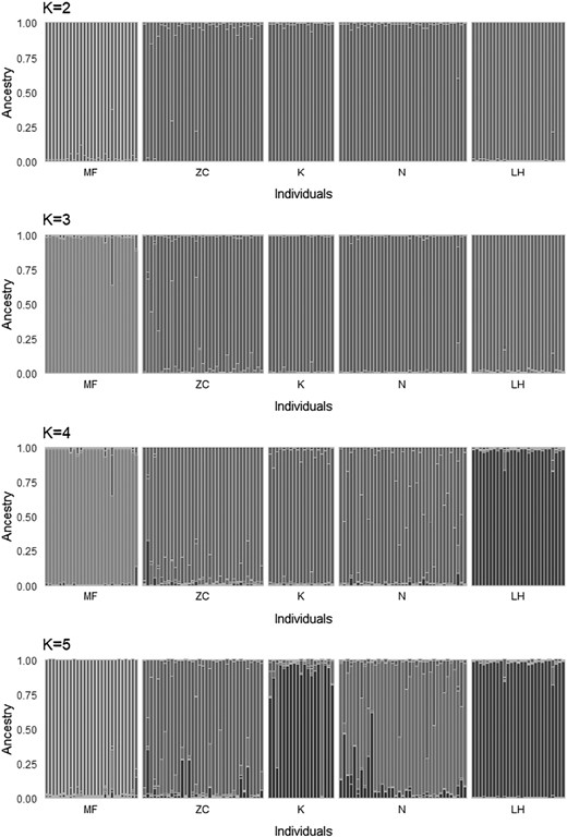 Results of genetic structure analysis of studied dormice populations using STRUCTURE program (analyses were performed for K = 2, 3, 4, and 5). LH = Lipowe Hills; MF = Muszkowice Forest; K = Krzywina; N = Nowolesie; ZC = Źródła Cyryla.