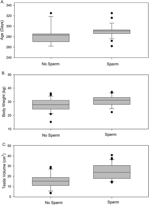Comparison of males with and without sperm in their samples on the variables (A) age in months and days at time of collection, (B) body weight, and (C) combined testis volume.