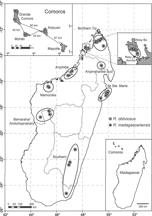 Map of principal collection localities on Madagascar and nearshore islands (Ile Sainte Marie, Nosy Komba, and Nosy Be) and in the Comoros Archipelago (Grande Comore, Anjouan, and Mohéli) of Rousettus specimens used in the current study.