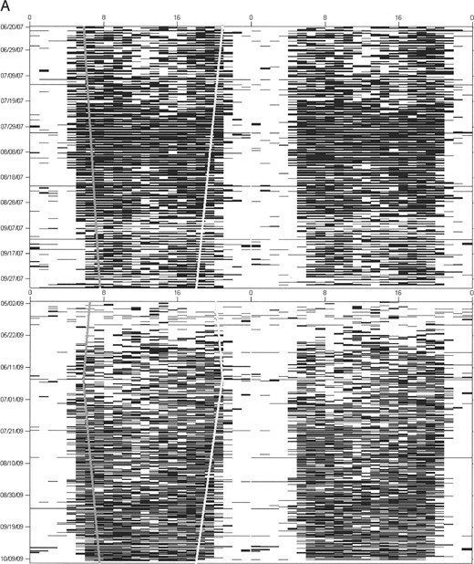 Actogram examples for A) male black bears (Ursus americanus), B) female grizzly bears (Ursus arctos), and C) male grizzly bears in Yellowstone National Park, Wyoming (2007–2009), with activity for each hour plotted on a single line and each line consisting of 2 consecutive days. Although the black bear is clearly diurnal for the entire active season, both female and male grizzly bears shift from nocturnal in the early spring and summer to crepuscular and diurnal in the late summer and fall. Sunrise and sunset are symbolized by gray and white lines, respectively.