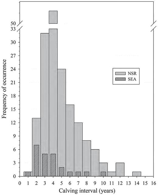 Frequency distribution of killer whale (Orcinus orca) calving intervals (CI) for known-age animals of the eastern North Pacific free-ranging population (NSR, northern and southern residents from 1975 to 2014, n = 174 CI) and for the captive population at SeaWorld Parks and Entertainment (SEA, 1985–2015, n = 24 CI) based on animals of known-age and an estimated age based on length at capture.