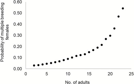 The probability of multiple breeding females in groups as a function of wolf group size (number of adults) when wolf density is held constant (15 wolves/1,000 km2), Idaho and Yellowstone National Park, Wyoming, United States, 1996–2012.