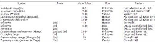 Summary of the number of lobes reported on the anterior spiracles of various sarcophagid species