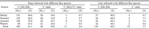 Distribution of dogs and cats infested by different flea species in Cuernavaca City, Mexico