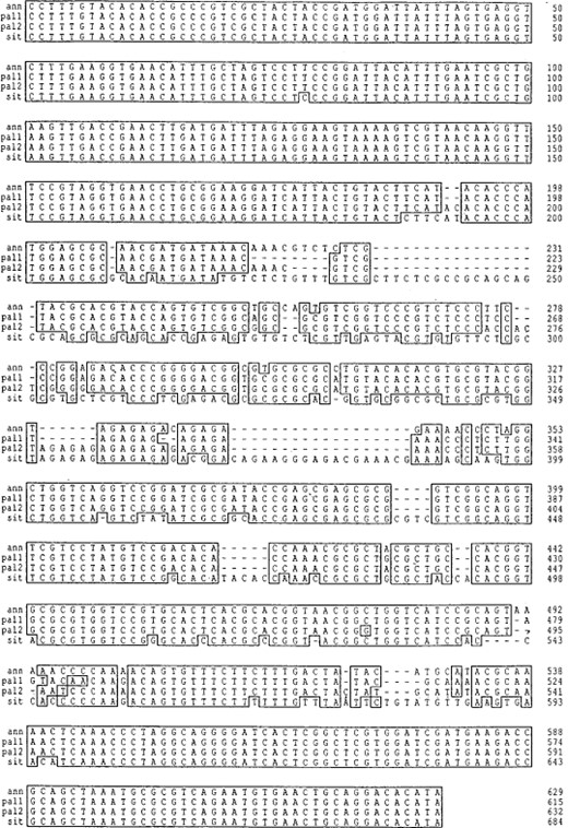 DNA sequence alignment of the rDNA ITS1 from three members of the Cx. sitiens subgroup. Clones that produced the species-specific profiles for Cx. annulirostris (ann), Cx. sitiens (sit) and Cx. palpalis (pal1 and pal2) were sequenced, and then aligned with the regions of sequence similarity highlighted. Two ITS1 sequences were found to be responsible for the two RFLP profile types in Cx. palpalis.