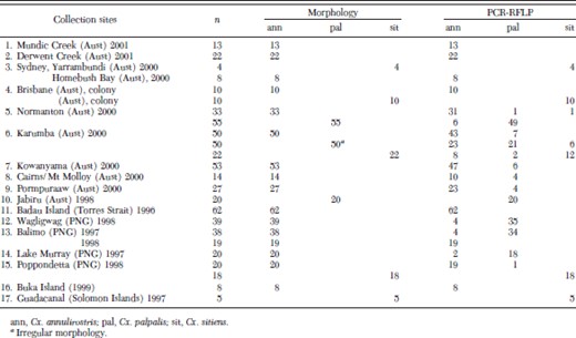 Adult species morphology and PCR identification comparisons