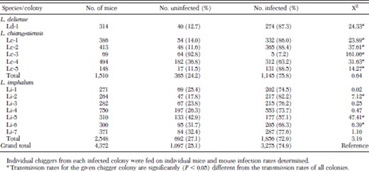 Transmission efficacy of 13 colonies of Leptotrombidium chiggers for O. tsutsugamushi