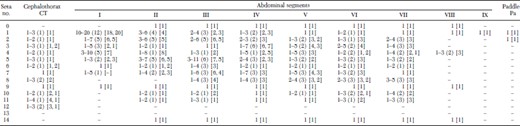 Pupal setal branching for An. pseudopunctipennis: range mode (in parentheses) based on counts made on 14–26 setae of the neotype, alloneotype, and 24 specimens collected with them; male neotype is shown in brackets