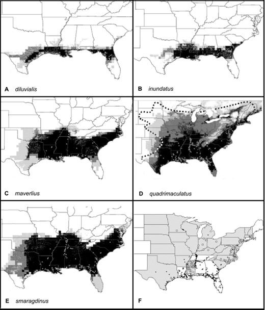 Predicted distribution of members of the A. quadrimaculatus complex based on preliminary data. Darker shades of gray represent increasing numbers of models that agree and no occurrence is predicted in white areas. (A) A. diluvialis, (B) A. inundatus, (C) A. maverlius, and (D) A. quadrimaculatus contain an outline of the species complex distribution according to Darsie and Ward(1981). (E) A. smaragdinus and (F) states from which additional samples were actively solicited. In A–F, sample information available on which preliminary models are based are represented by solid dots, and open squares represent new data. States from which additional samples were actively solicited are hatched.
