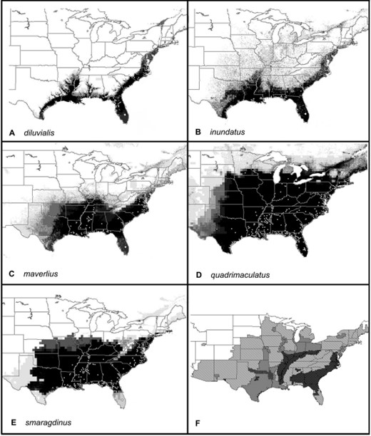 Predicted distribution of members of the A. quadrimaculatus complex based on all data. Darker shades of gray represent increasing numbers of best subset models that agree, and no occurrence is predicted in white areas. (A) A. diluvialis, (B) A inundatus, (C) A. maverlius, (D) A. quadrimaculatus, (E) A. smaragdinus, and (F) our representation of the extent of malaria in the eastern United States around 1850; darker shades of gray represent higher intensity of transmission (Faust 1949). Circles indicate locations of all samples used for final models.