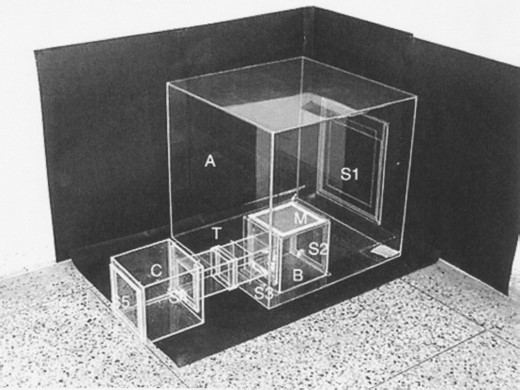 Designer apparatus for evaluation of vapor toxicity and repellency against mosquito adults. (A) Test chamber; (B) small chamber with top of copper wire mesh (M); (C) chamber with tunnel for repellency studies; (S1, S2, S3, S4, and S5) sliding doors; and (T) tunnel.