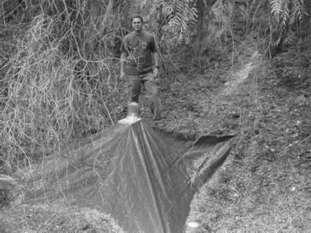 Emergence trap used to survey for Fannia spp. immature developmental sites.