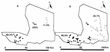 (A) Cluster of high infestation (primary and secondary clusters: 100 and 68.4% infestation, respectively), as closed squares and cluster of low infestation (11.4%) as open squares before the insecticide application. (B) Cluster of high infestation (46.9%), as closed circles and cluster of low infestation (20.7%) as open circles after the insecticide application.