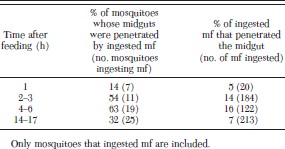 Penetration of ingested M. ozzardi mf through the midgut of resident Ae. aegypti mosquitoes at selected intervals after feeding on microfilaremic human volunteers, Blanchisseuse Trinidad, 2004.