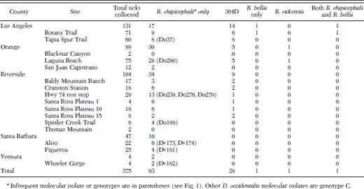 Origin and characteristics of SFG rickettsiae detected in Dermacentor ticks from southern California