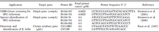 Characteristics of primers used for PCR amplifications