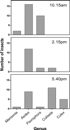 Counts of different genera of mosquitoes collected at different times during the course of the test in Florida.