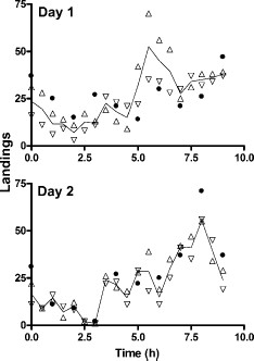 Counts of blackfly landings on 250-cm2 untreated skin (triangles) of two control subjects (5 min every 30 min), together with counts of landings on the whole body (filled circles) of one untreated subject (1 min every 60 min). The line indicates the average of the counts on exposed skin. Counting was started at 1002 hours on day 1 and 0819 hours on day 2.