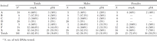 Results of rompA and gltA PCR testing for spotted fever group Rickettsia