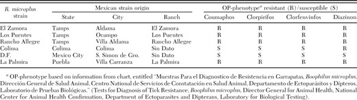 Mexican strains of R. microplus genotyped for mutations in BmAChE3
